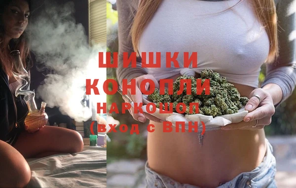 сатива Алексин