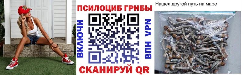 купить закладку  Волхов  Галлюциногенные грибы прущие грибы 